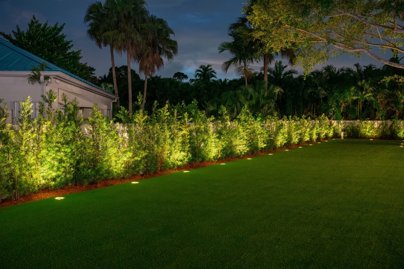 A hedge line along a lawn, lit just after sunset
