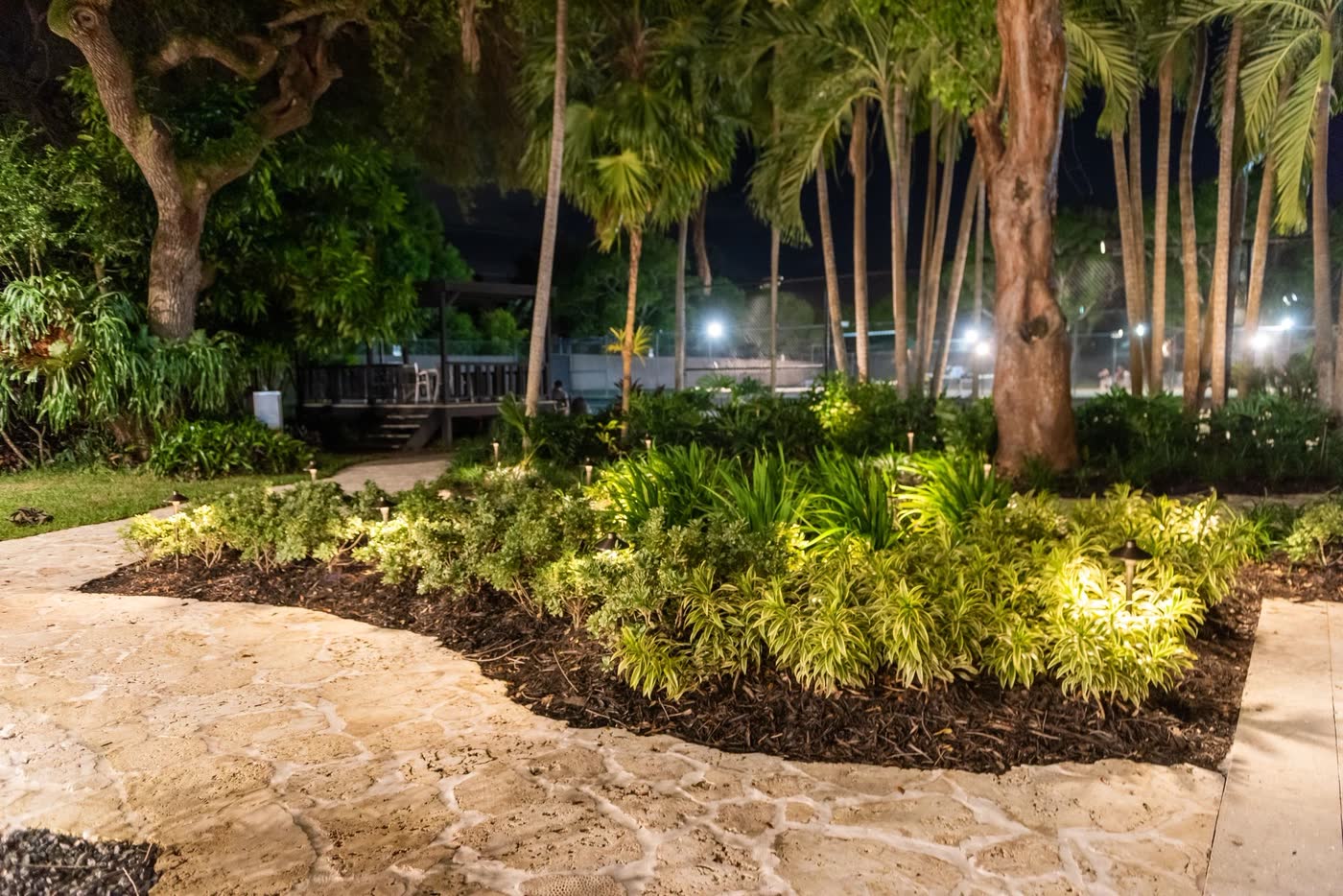 A planting bed and palms lit at night